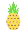 Pineapple ananas set fruits tropical vector icon isolated cartoon healthy food vitamin